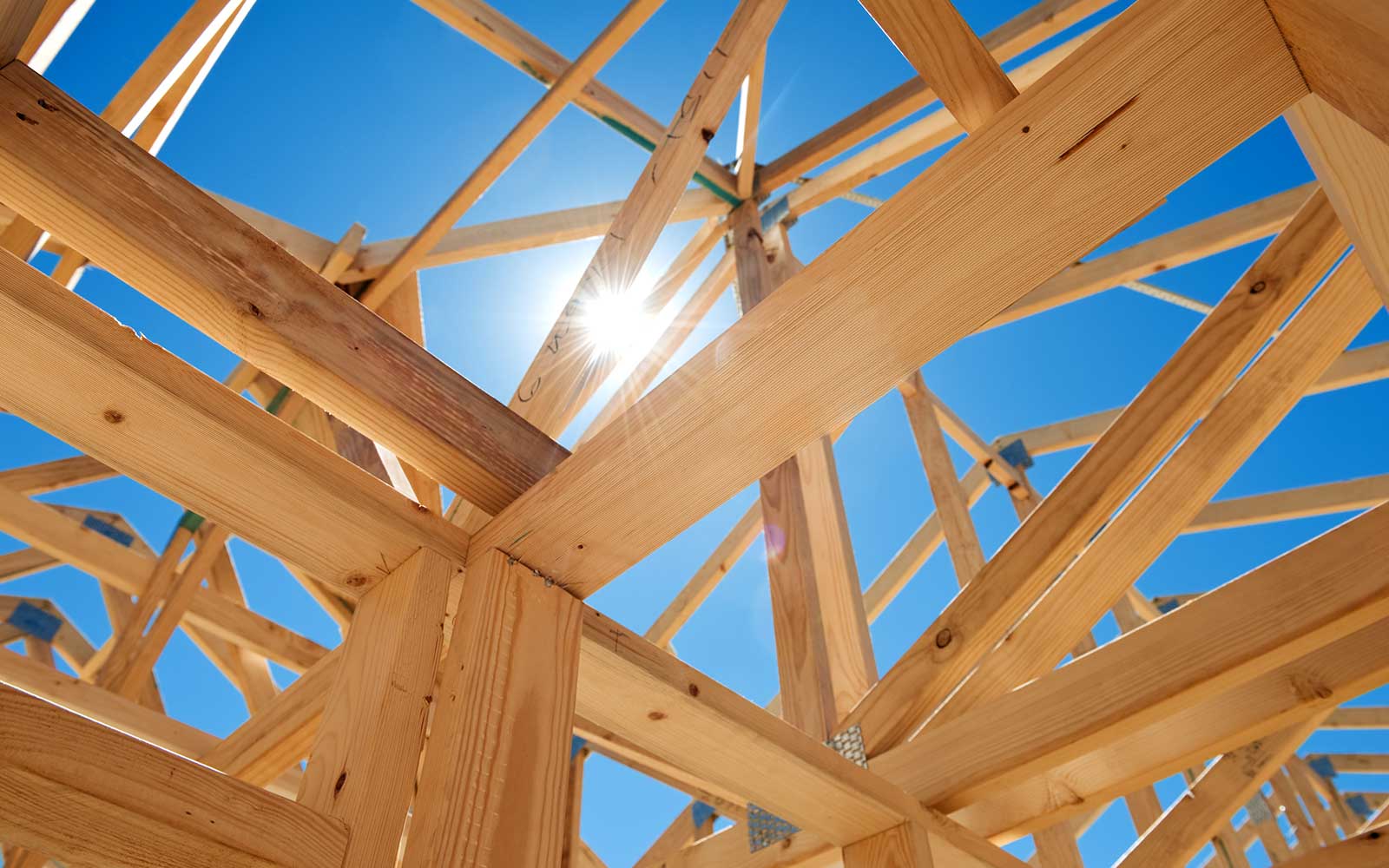Entretien et rénovation du bois en Corse