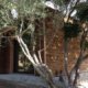 cabane type bungalow insolite en Corse par Corse Solutions Bois