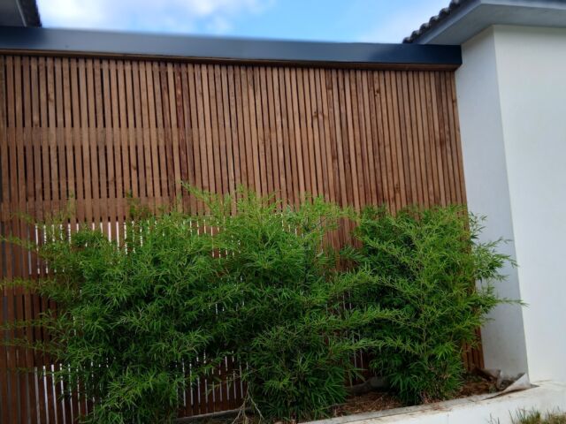 Claustra bois Corse : fabrication et pose de claustras sur mesure pour terrasse, jardin, piscine et pergola. Devis gratuit avec Corse Solutions Bois.